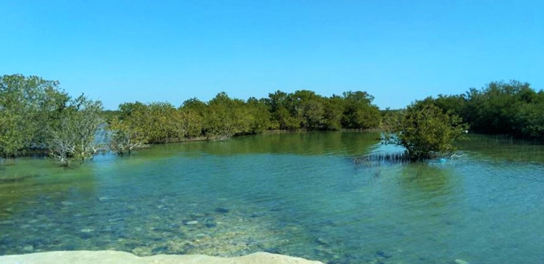 Purple Island (Al Khor Island), Al Khor, Qatar